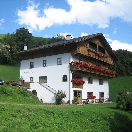 Mantingerhof Apartments フーネス エクステリア 写真